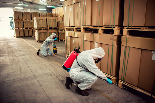Best Best Pest Control Companies  in South Monrovia Island, CA