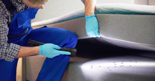 Best Local Pest Control Services  in South Monrovia Island, CA