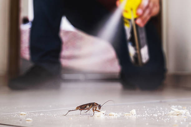 South Monrovia Island, CA Pest Control Company