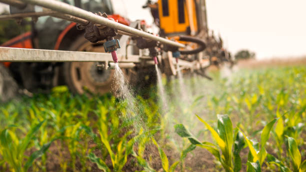 Best Mosquito Control Services  in South Monrovia Island, CA