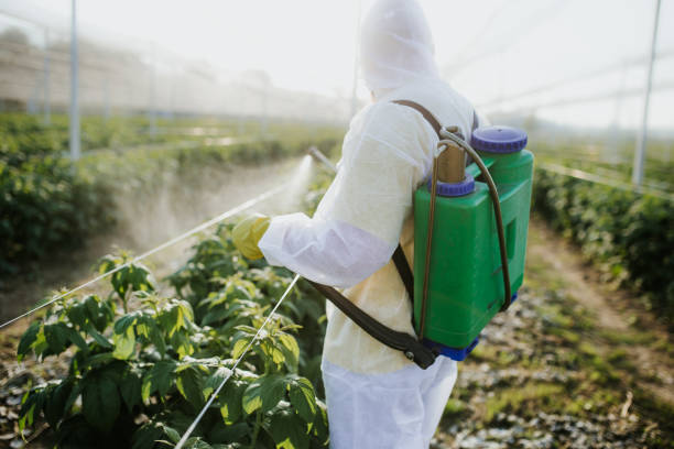 Best Residential Pest Control  in South Monrovia Island, CA